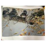 Signed "Out On A Limb" Christopher Walden Print