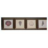 Karyn Francis Gray Seashell Signed Print(4)