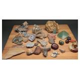 Collectible Rocks, Geodes, Crystals Petrified Wood