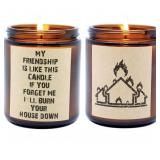 New Funny My Friendship is Like This Candle Gift