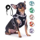 New Frienperro Breathable Dog Harness with Leash