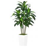 Artificial Dracaena Tree 5FT - Faux Tree with