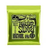 New Ernie Ball Regular Slinky Nickel Wound