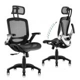 GABRYLLY Ergonomic Office Chair, High Back Home