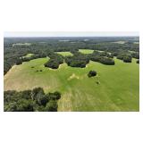 Absolute Auction 243.59 Acres 3 Properties 13 Tracts