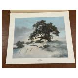 Limited / Signed "Winter Light" By Carol