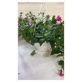 Petunia Pink 10" Hanging Basket