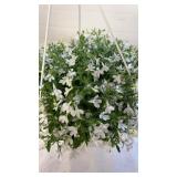 Lobelia 10" Hanging Baskets