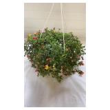 Cupcake 10" Hanging  Basket