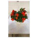 Nonstop Joy Orange 10" Hanging Baskets