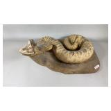 Taxidermy Rattle Snake