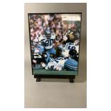 Mel Renfro Dallas Cowboys Framed Picture