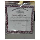 The Ashton Drake Galleries "Sweet Baby Liam" 19" Tall