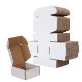 RLAVBL 4x4x2 Shipping Boxes Set of 100, White Small Corrugated Cardboard Box, Mailer Box