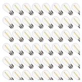 S14 Replacement LED Light Bulbs, Shatterproof & Waterproof 1W S14 LED Bulbs, E26 Base Patio Edison LED Light Bulbs for Outdoor String Lights , Warm White 2200K Plastic 70ML Non-Dimmable 48 Pack