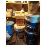 all in closet of shed - paints and chemicals