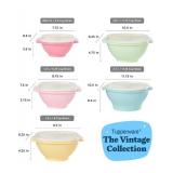 Tupperware Heritage Collection 5 Bowls + 5 Lids (10 Piece) Food Storage Container Set in Vintage Colors - Dishwasher Safe & BPA Free A retails $60!!