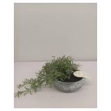 10" Fish Hook Sedum Artificial Plant - Threshold designed with Studio McGee