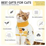 DENTRUN Cat Surgery Recovery Suit Female Male Soft Onesie, Kitten Surgical Collar Cone Alternative Shirt, Abdominal Wounds Anti-Licking Pajama for Small Pets Spay, Cat Body Suit Post Surgery