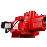 Red Lion 602207 Premium Cast Iron Shallow Well Jet Pump - Retail: $339.99