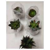 Coitak Artifical Succulent Plants Potted 5 Pk