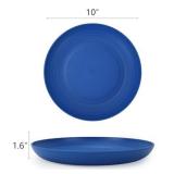 Homienly Salad Plates Dessert Plates Set of 8-10 inch Wheat Straw Plates Unbreakable Plates for Kitchen Reusable Plastic Plates Small Plates(Blue Series)