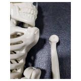 JOYIN 24in Halloween Skeleton with Red LED Light Eyes Full Body Human Plastic Bones with Posable Joints Skeleton for Halloween Party Indoor/Outdoor Decor, Haunted House or Graveyard Decoration