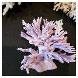 White and purple coral (small piece needs glued) tallest is 6 x 9