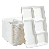 Vplus 100% Compostable 5 Compartment Paper Plates, 100 Pack, 12.5 * 8.6 inch Disposable School Lunch Trays, Eco-Friendly Bagasse Plates for Buffet, and Party