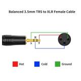 CableCreation 3.5mm (1/8 Inch) Stereo Male to XLR Female Cable, 6 Feet/Black