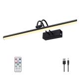 RAIFOOLLY Picture Light, 16in Battery Operated Picture Lights for Paintings,Metal Remote Control Display Art Light with Timer and Dimmable for Wall Painting,Frame, Portrait, Dartboard(Black)