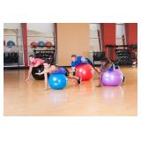 Black Mountain Products 2000 Pound Anti Burst Exercise Stability Ball with Pump, 45cm, Black