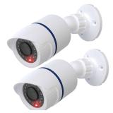 WALI Dummy Fake Camera, Surveillance Security CCTV Dome Camera, Indoor Outdoor Camera, with One LED Light, Security Alert Sticker Decals (TC-W2), 2 Pack, White