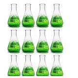 12PK Erlenmeyer Flasks, 125mL - Borosilicate Glass - Narrow Neck Flasks, Conical Flasks, Glass Flasks (Retail $31.99)