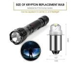 Honoson 30 Lumen 3-Volt LED Replacement Bulb Flashlight Bulbs LED Torch Flashlight Bulb with 10 Year Lifespan, 41-1643 (2)