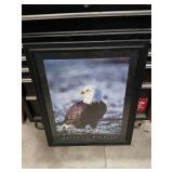 eagle picture with frame