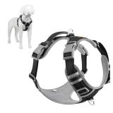 Plutus Pet No Pull Dog Harness, Release at Neck, Reflective Adjustable Dog Vest Harness, Easy Control Handle for Walking, for Small Medium Large Dogs, Black, XL