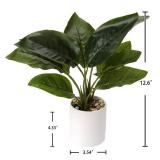 Briful Small Fake Plant 13 Faux Calathea Plants Indoor Artificial Potted Plant in White Ceramic Greenery House Plant for Home Table Office Bathroom Shelf Living Room Desk Decoration