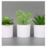 Hopewood Succulent Plants Artificial in White Pots Small Faux Potted Succulents Fake Plants in Vase Set of 3