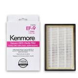 EF9 Replacement Filter (1) 53296 40195