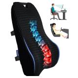 Teemour Lumbar Support Pillow for Car Office Chair, Reduces Back Pain Relief, Memory Foam, Adjustable Straps, Breathable Mesh Cover