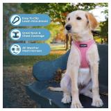 Voyager Step-in Air Dog Harness - All Weather Mesh, Reflective, No Pull Harness for Small, Medium Dogs, Cats - Secure with Hook & Loop Fastener, Buckle, Double D-Rings - Pink, S