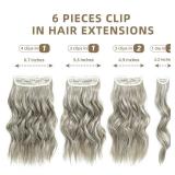 FLIACE Hair Extensions Clip ins, 6 PCS Wavy Extensions, Light Gray&Ash Blonde&Light Brown Thick Hair, Blends Well Hair Extensions (20Inch, 6PCS, Gray Brown&Ash Blonde)