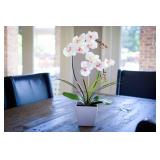 HOMESEASONS Homeseaons Orchid Lamp-LED Lighted Orchid Arrangements,Pre Lit Artificial Orchid,Light Up Flower Lights, Faux Orchid Phalaenopsis Arrangement (White)