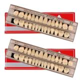 56 Pcs False Teeth Dental Complete Acrylic Resin Denture Teeth, 2 Set Whole Teeth Synthetic Polymer Denture Tooth, 23 Shade A3 Upper + Lower Dental Materials for Replacement, DIY, or Halloween