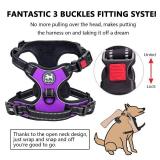 PoyPet No Pull Dog Harness, No Choke Front Lead Dog Reflective Harness, Adjustable Soft Padded Pet Vest with Easy Control Handle for Small to Large Dogs(Purple,XS)