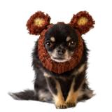 Zoo Snoods Fuzzy Bear Costume - Warm Knit Dog Snood Wrap for Pets, Neck Ear Cover Protection, Halloween Winter (Small)