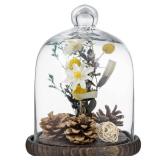 MyGift Clear Cloche Glass Dome, Display Bell Jar with Top Handle and Rustic Brown Solid Wood Base