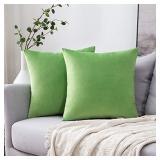 MIULEE Pack of 2 Lime Green Velvet Throw Pillow Covers 26x26 Inch Soft Solid Decorative Square Set Cushion Case for Spring Couch Sofa Bedroom