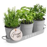 Barnyard Designs Indoor Herb Garden Planter Set with Tray, Metal Windowsill Plant Pots with Drainage for Outdoor or Indoor Plants, Set/3 (Cool Grey)